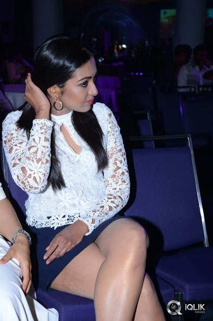 Sarrainodu-Movie-Success-Meet